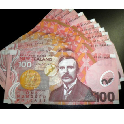 fake new Zealand dollar $100